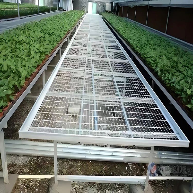 Direct sale agricultural greenhouse planting net mobile seedling bed corrosion-resistant and wear-resistant