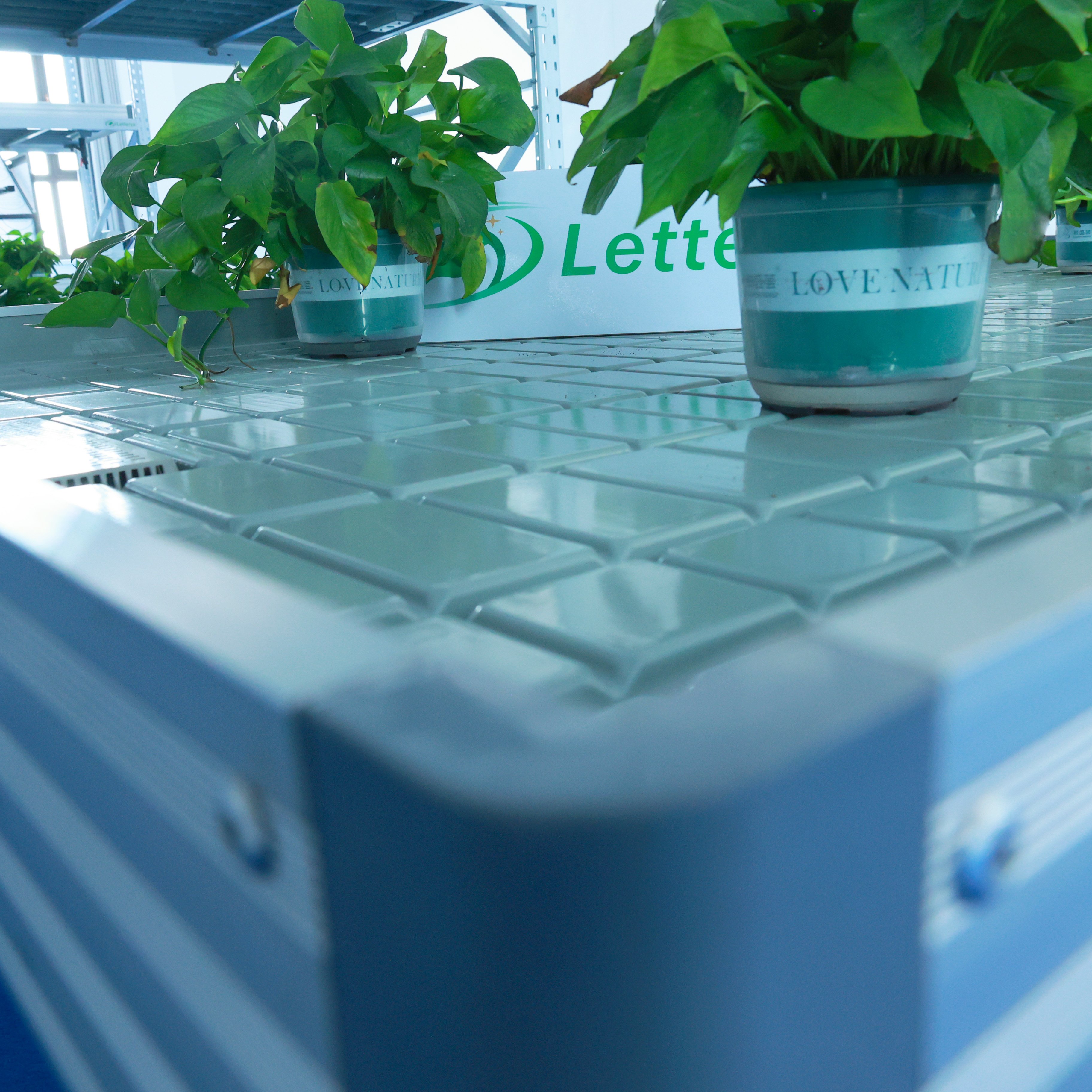 Flower seeding Hydroponic Growing System Adjustable Ebb and Flow Rolling Table Benches