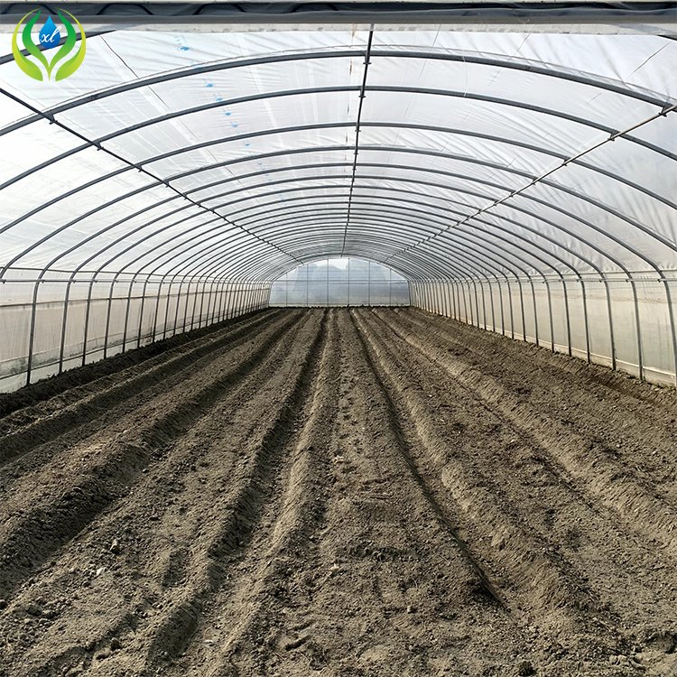 MYXL plastic film small green house plastic metal frame high tunnel agriculture greenhouse for sale
