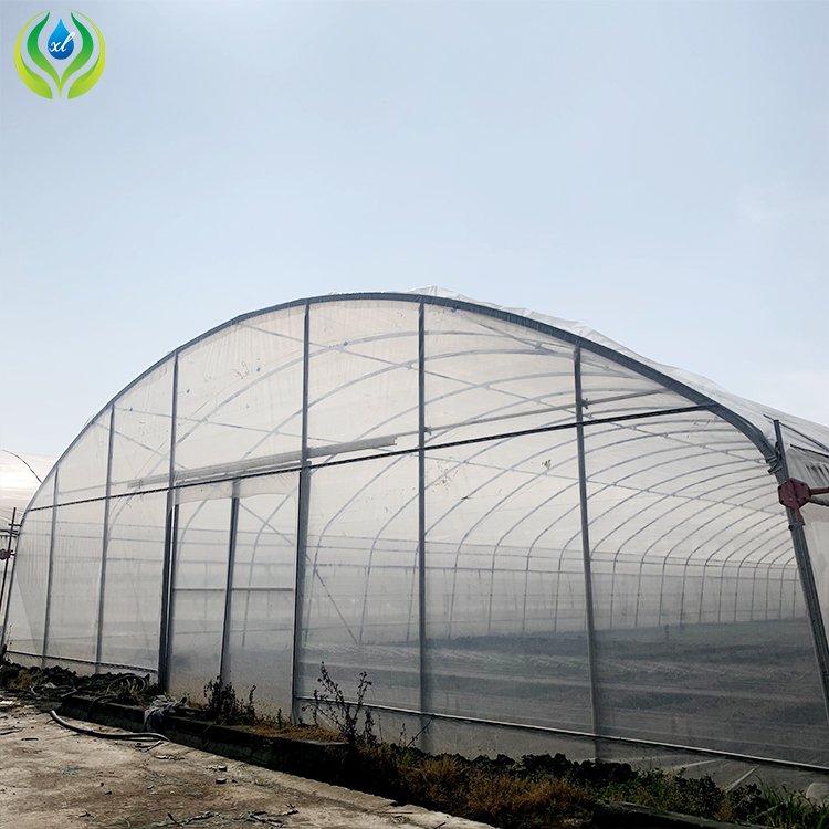 MYXL plastic film small green house plastic metal frame high tunnel agriculture greenhouse for sale