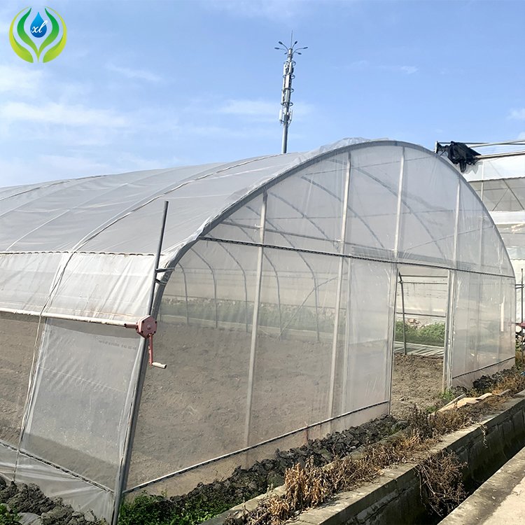 MYXL plastic film small green house plastic metal frame high tunnel agriculture greenhouse for sale