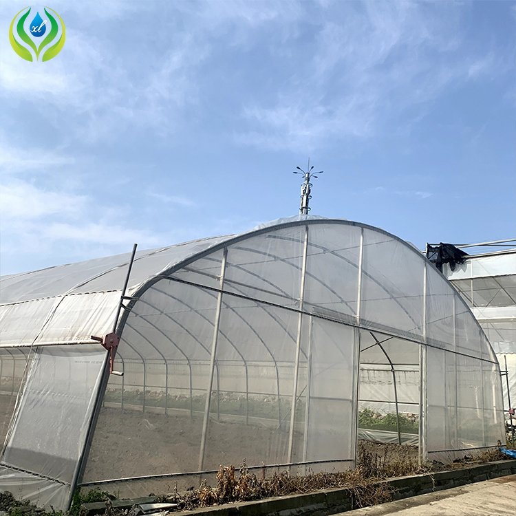MYXL plastic film small green house plastic metal frame high tunnel agriculture greenhouse for sale