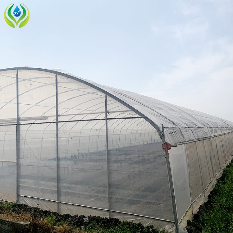 MYXL plastic film small green house plastic metal frame high tunnel agriculture greenhouse for sale