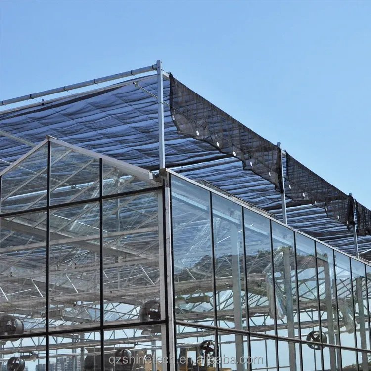 Hot Sale Large Commercial Agricultural Venlo Glass Greenhouses Turnkey Project for Vegetable Cultivation