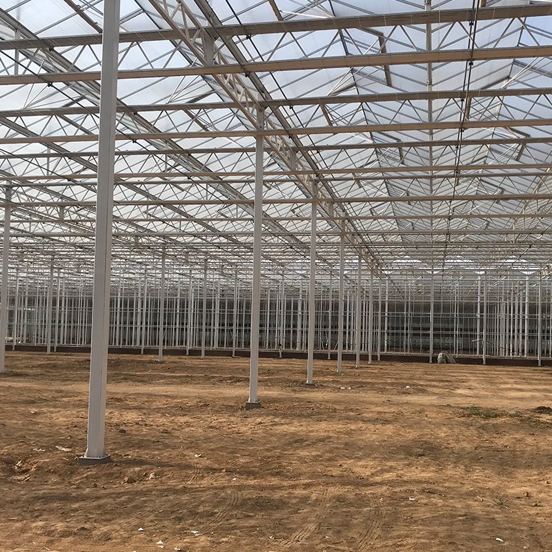 Intelligent multi span glass agriculture greenhouse price