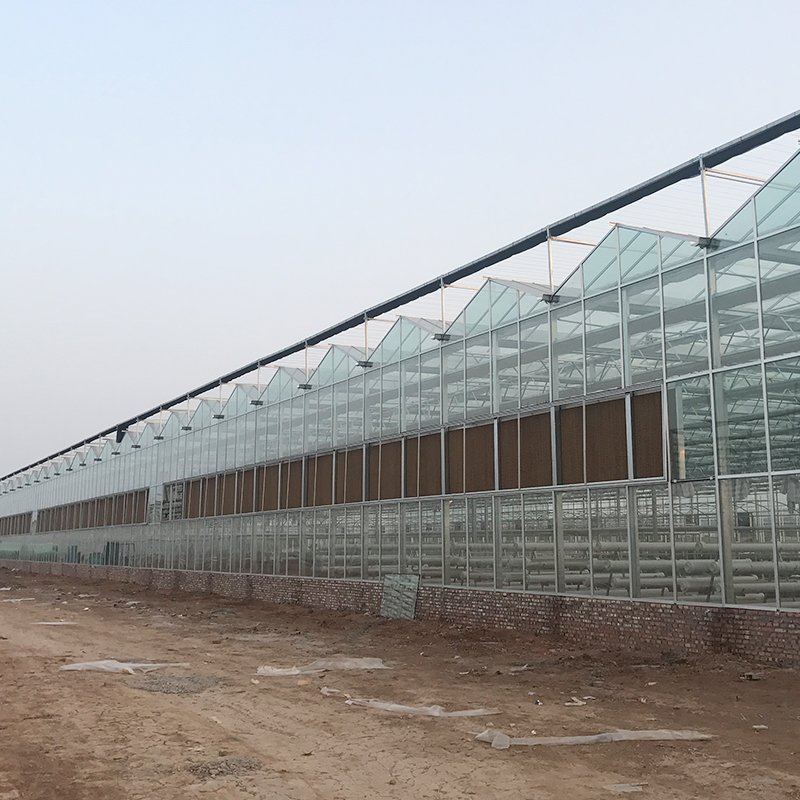Intelligent multi span glass agriculture greenhouse price