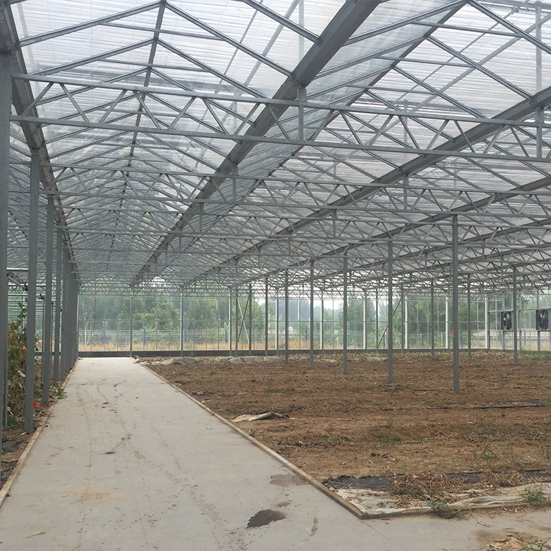 Intelligent multi span glass agriculture greenhouse price