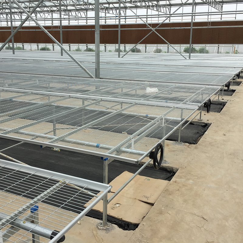 Intelligent multi span glass agriculture greenhouse price