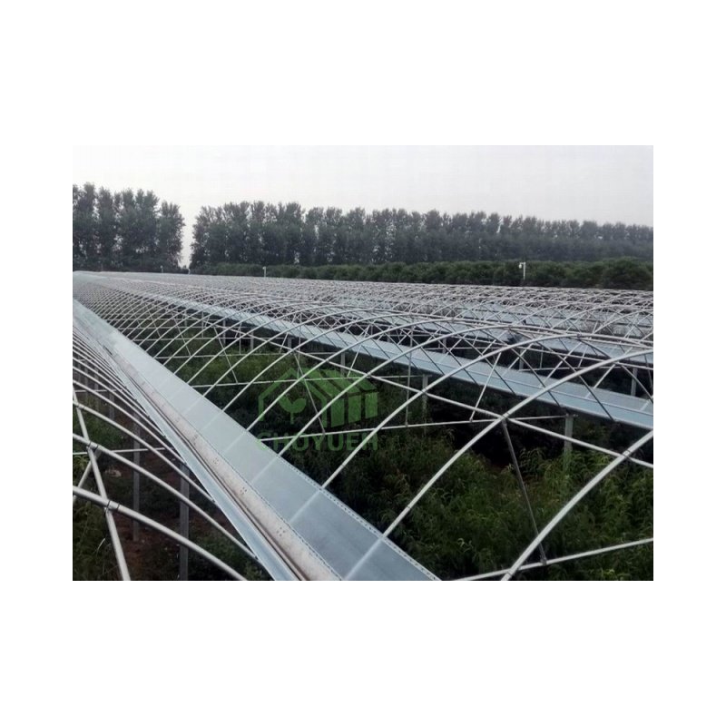 CHOYUEH optional system Multi-span Plastic film tunnel greenhouse with sides top ventilation fruits planting vegetable growing