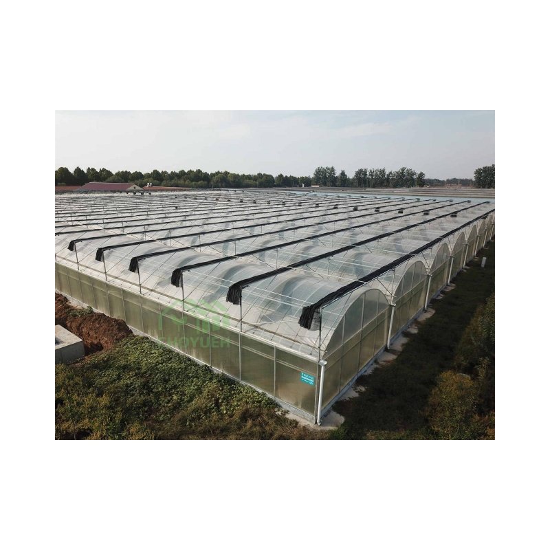 CHOYUEH optional system Multi-span Plastic film tunnel greenhouse with sides top ventilation fruits planting vegetable growing