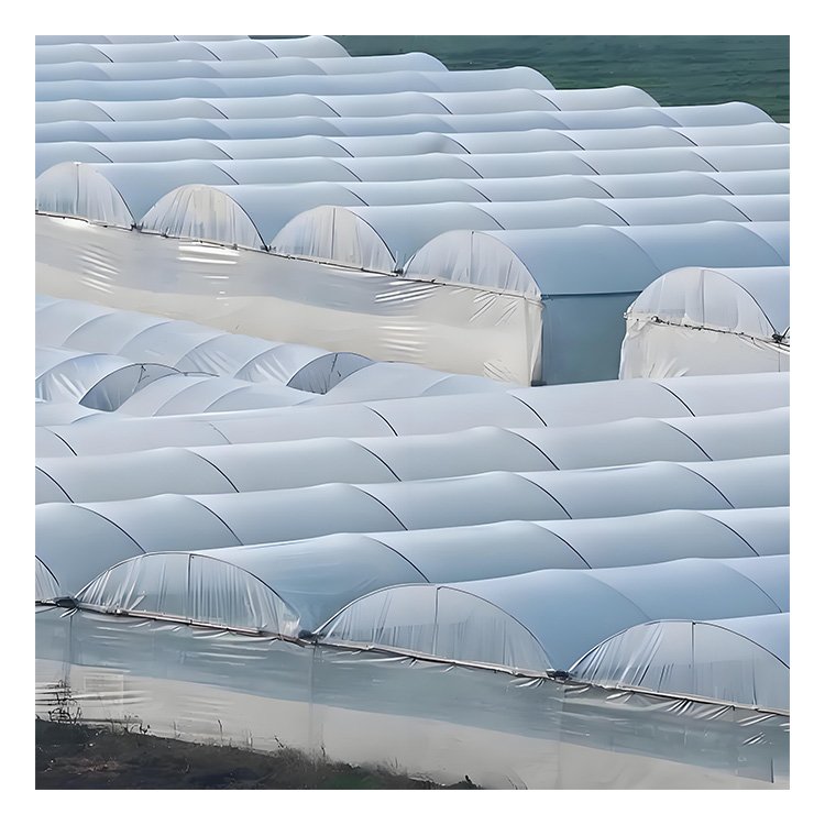 Agricultural Film UV Resistance 18m Width Multi-Span Plastic Film Greenhouse Plastic/Film Agricultural Greenhouse