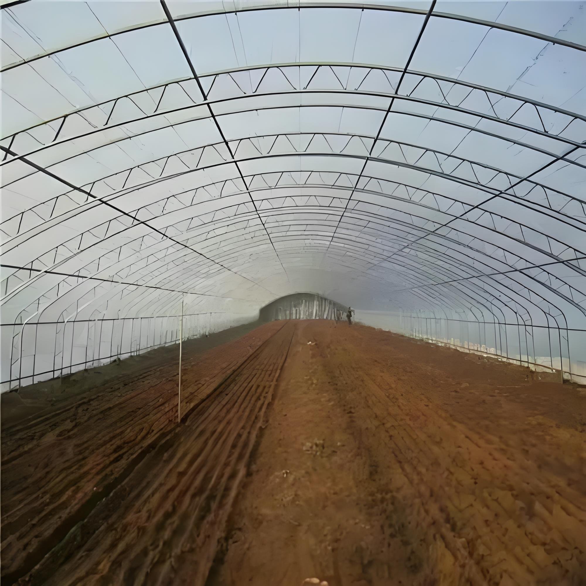 Agricultural Film UV Resistance 18m Width Multi-Span Plastic Film Greenhouse Plastic/Film Agricultural Greenhouse