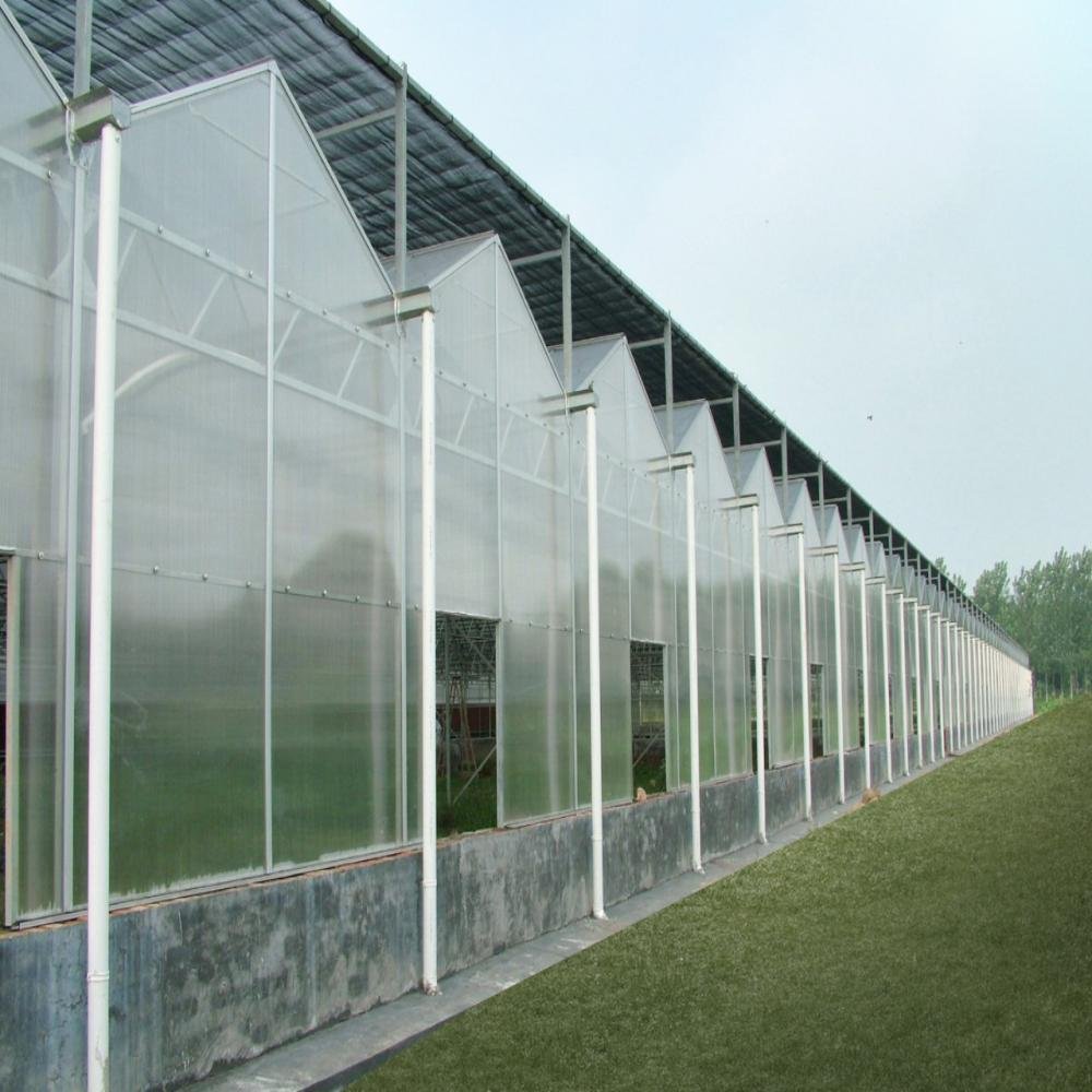Polycarbonate PC Greenhouse With Hot Galvanized Steel Structure For Agriculture