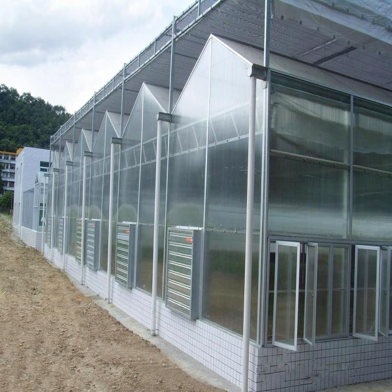 Polycarbonate PC Greenhouse With Hot Galvanized Steel Structure For Agriculture