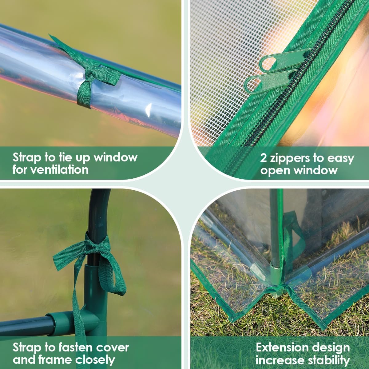Single Layer Roof Agricultural Intelligent Vegetable Greenhouse Tunnel Vegetable Greenhouses For Sale