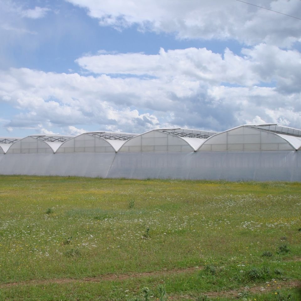 Film Vegetables Green House with Hydroponic System for Grow Tomatoes