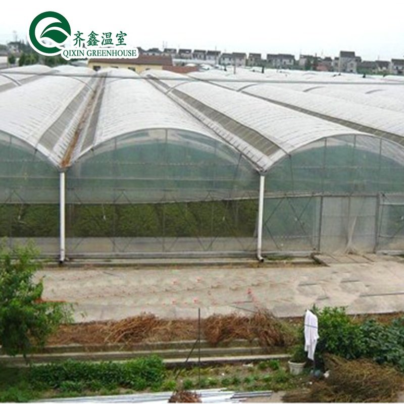 Cheap Multi-span Arch Film Greenhouse for greenhouses 30 x 100 vegetable greenhouse