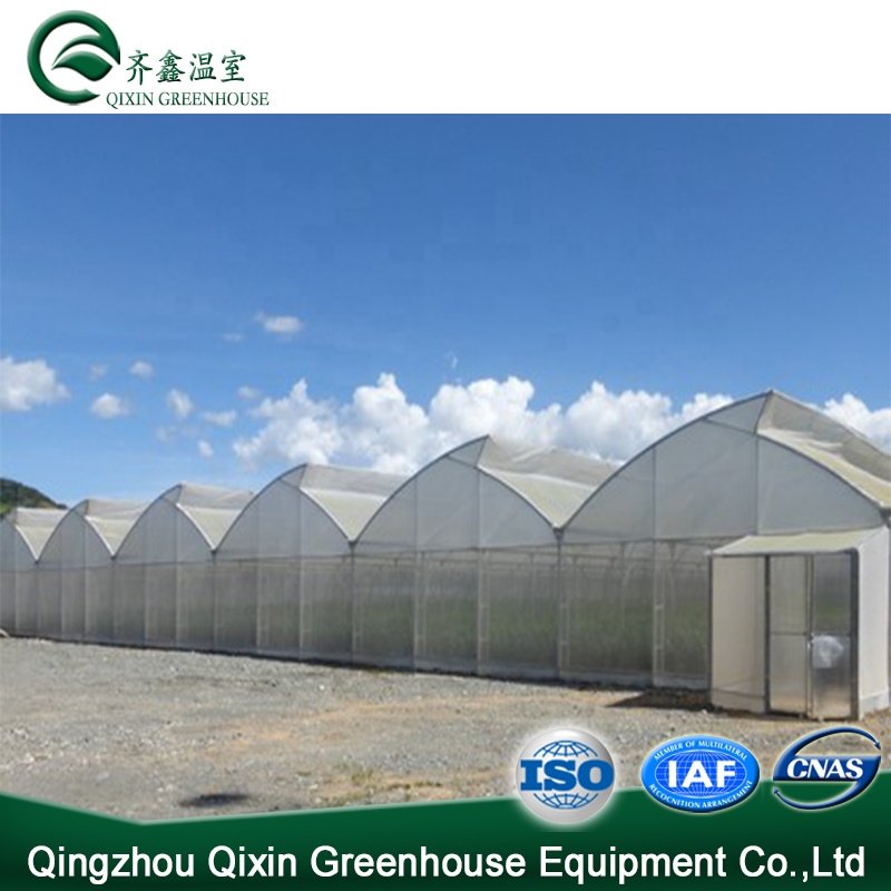 Cheap Multi-span Arch Film Greenhouse for greenhouses 30 x 100 vegetable greenhouse