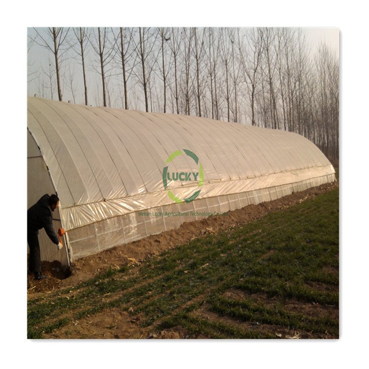 Caterpillar Tunnel Poly Tunnel Digital Temperature Control System Greenhouse For Home Use