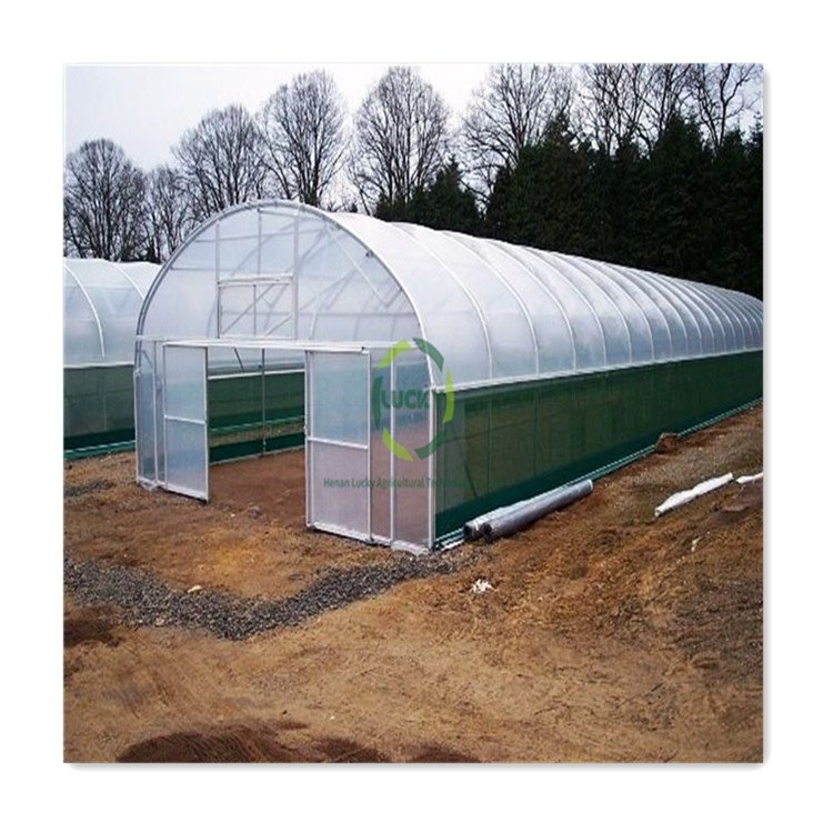 Caterpillar Tunnel Poly Tunnel Digital Temperature Control System Greenhouse For Home Use