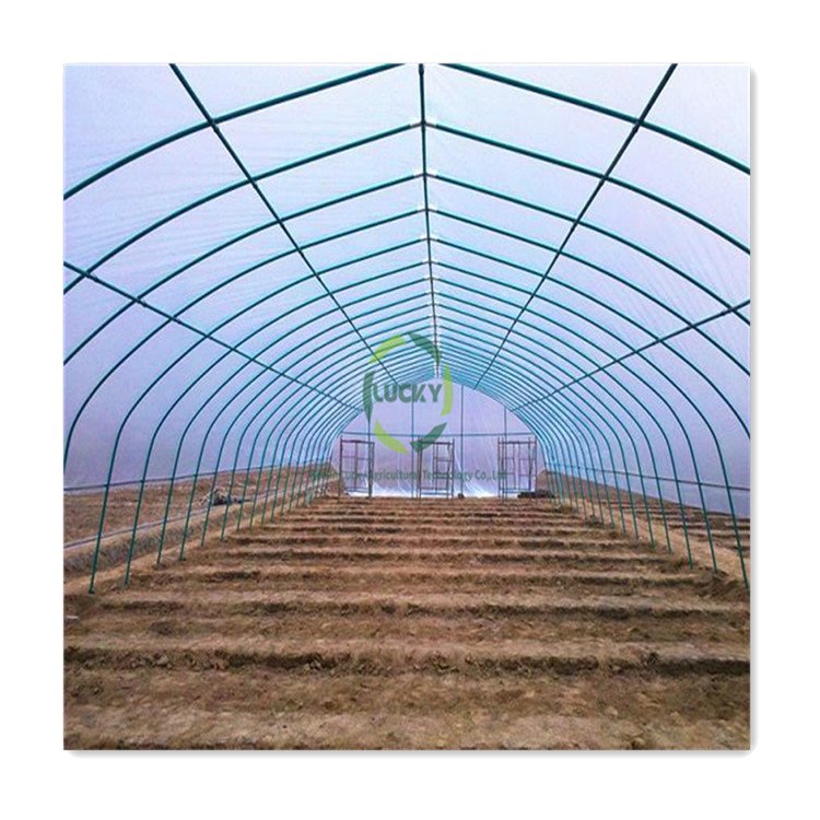 Caterpillar Tunnel Poly Tunnel Digital Temperature Control System Greenhouse For Home Use