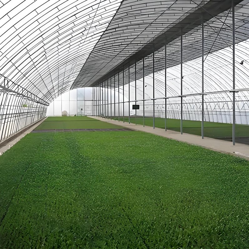 Large Agricultural Greenhouses Multi-Functional Plastic Easy Installation Waterproof Square Pattern Double Layer Steel Glass
