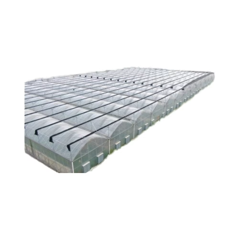 Industrial Large Garden Greenhouse with Polytunnel Pipe Plastic Film Polycarbonate for Plant Usage Agriculture Exterior Awning