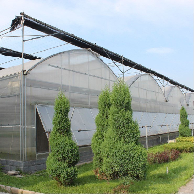 Small 10*30m Double-Layer Intelligent Greenhouse Agriculture Economic Hydroponic PE Stable Galvanized Steel Frame Garden Plants