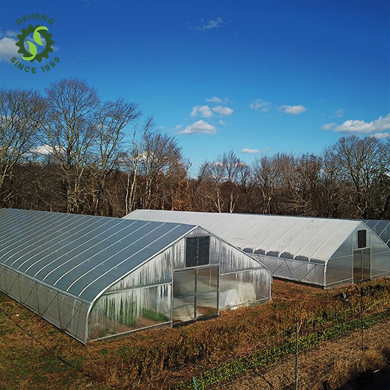 Cheap Price Ready To Ship Agriculture Low Cost Frames Plastic Film Single-Span Tunnel Greenhouses For Sale