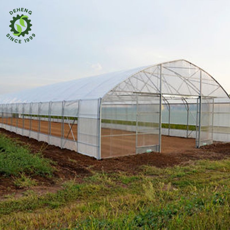 Cheap Price Ready To Ship Agriculture Low Cost Frames Plastic Film Single-Span Tunnel Greenhouses For Sale