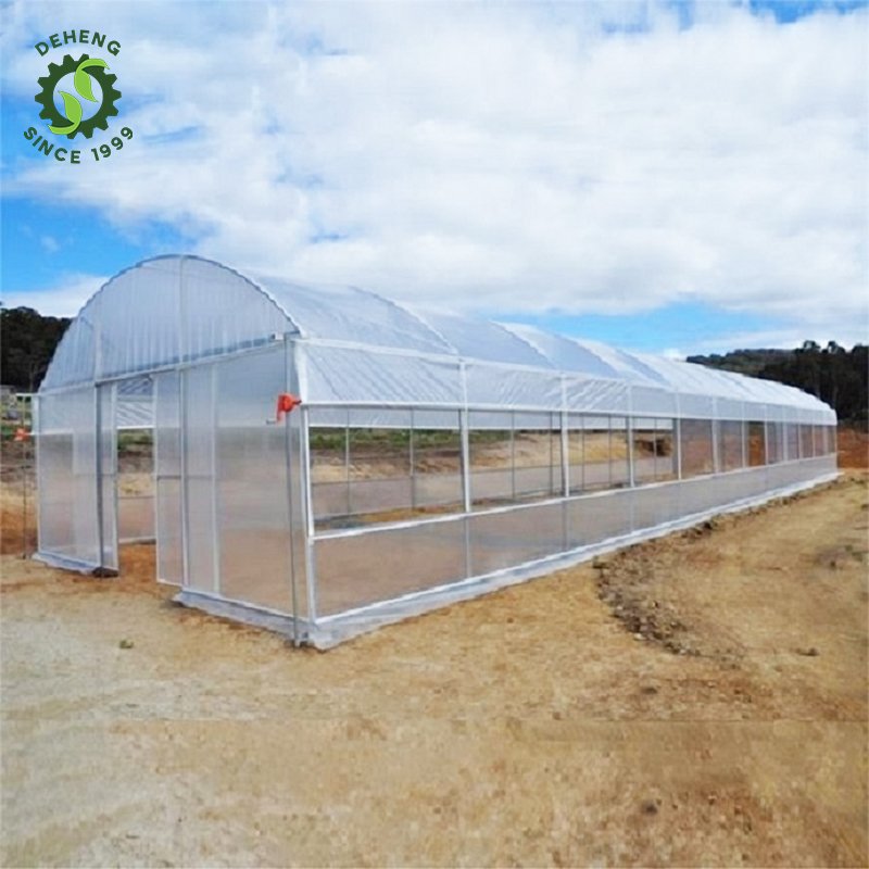Cheap Price Ready To Ship Agriculture Low Cost Frames Plastic Film Single-Span Tunnel Greenhouses For Sale