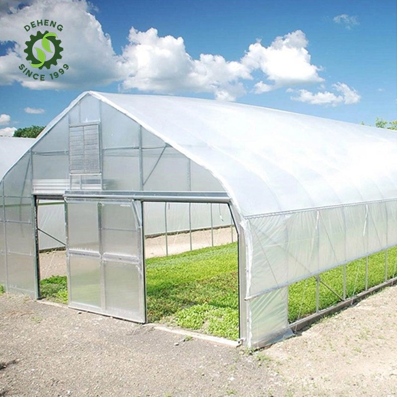 Cheap Price Ready To Ship Agriculture Low Cost Frames Plastic Film Single-Span Tunnel Greenhouses For Sale