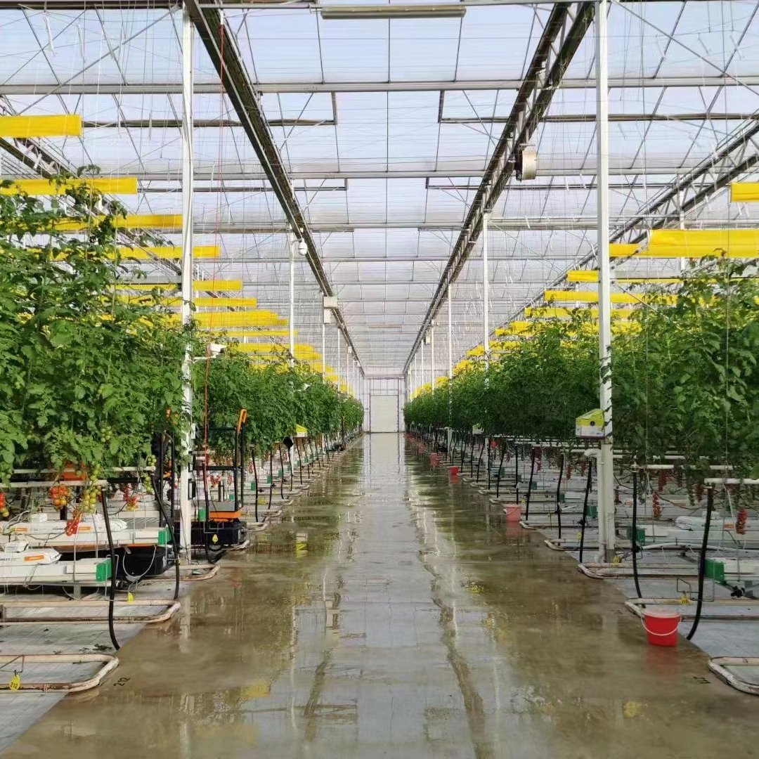 hydroponic garden Grow Gutter Hydroponic Growing System In Greenhouse For Strawberry