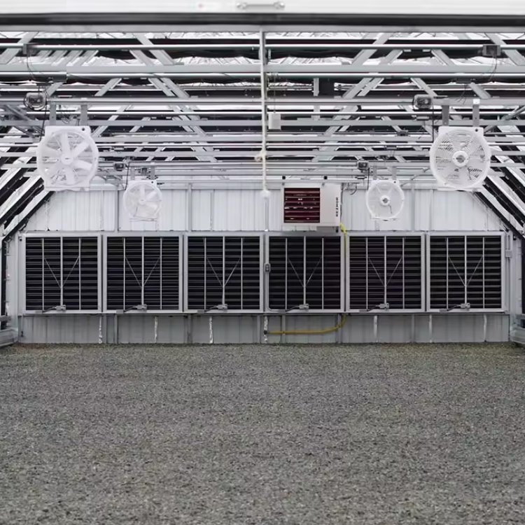 poly tomato green house invernadero light deprivation blackout insulated polycarbonate tunnel frame agricultural greenhouses