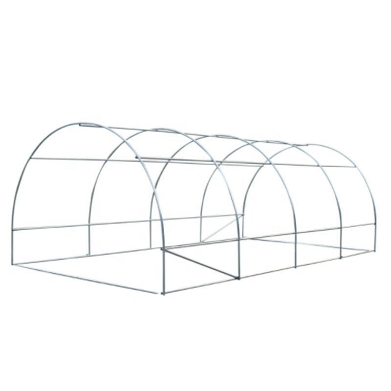Agriculture Tunnel Greenhouse customized sizes