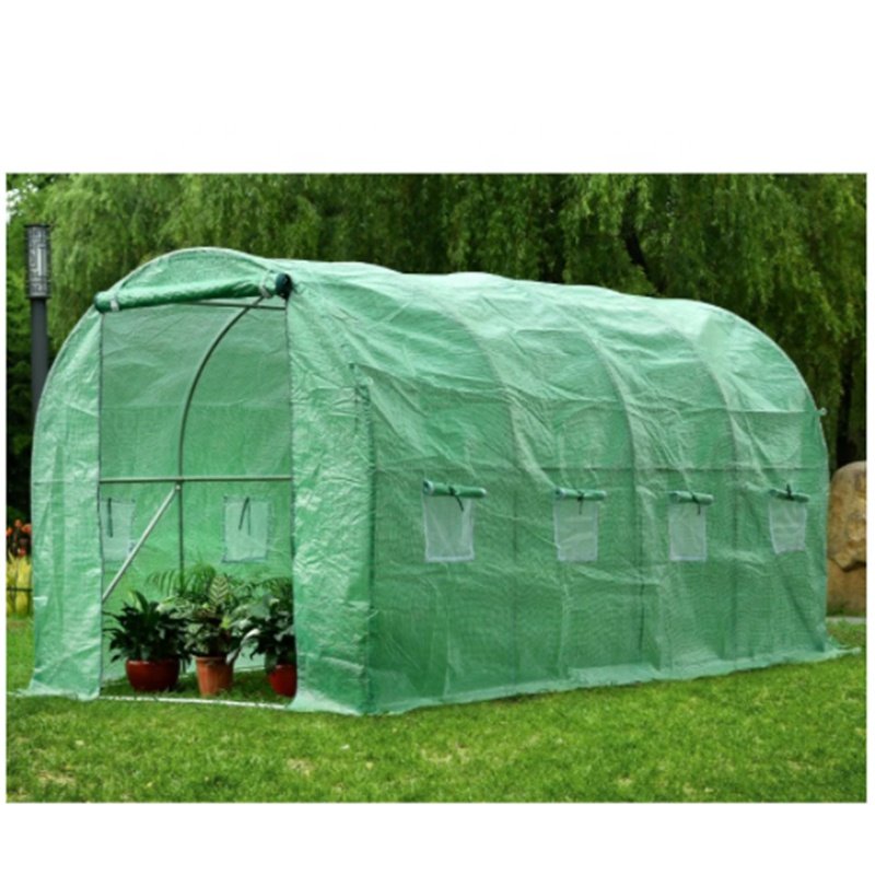 Agriculture Tunnel Greenhouse customized sizes