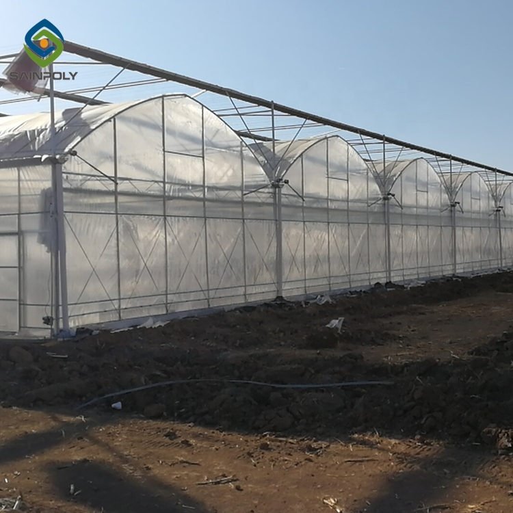 In Stock Fast delivery Plastic Film Green House Agricultural Greenhouses