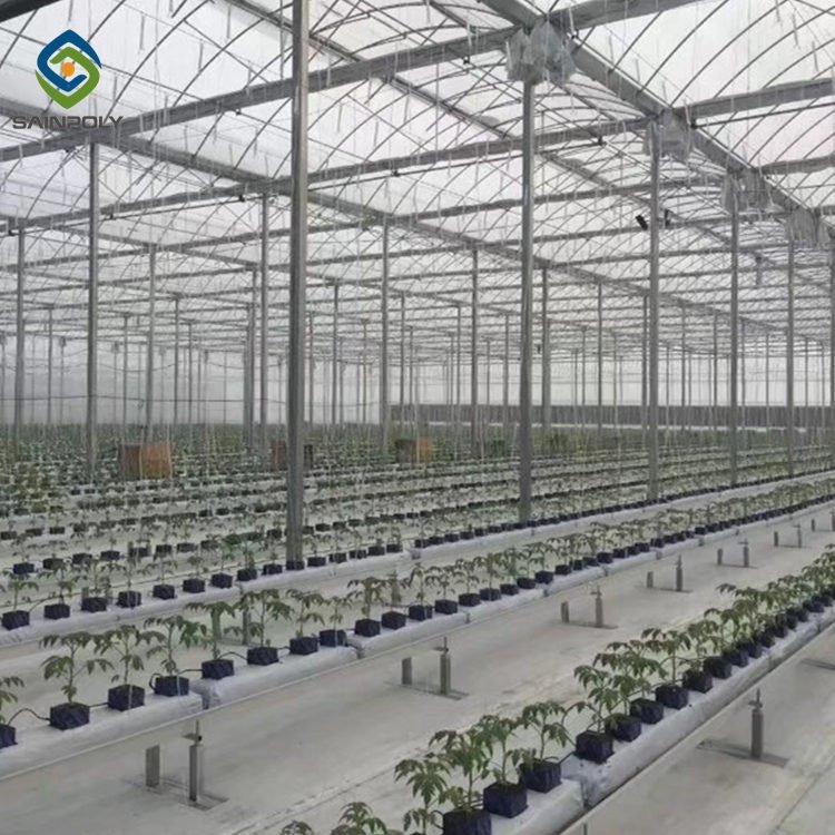 In Stock Fast delivery Plastic Film Green House Agricultural Greenhouses