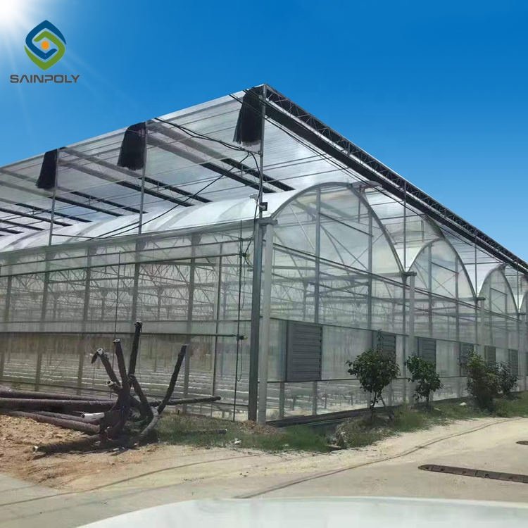 In Stock Fast delivery Plastic Film Green House Agricultural Greenhouses