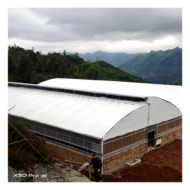 High Quality Agricultural Greenhouses for Breeding for Farming