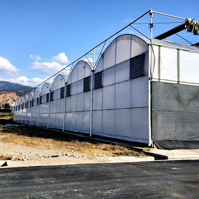 High Quality Agricultural Greenhouses for Breeding for Farming