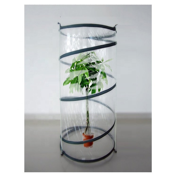 Greenhouse Garden Pop up Mini Greenhouse Agricultural Grow Tent Specialized Round Cheap Plastic Metal Iron Carton Box Not Coated