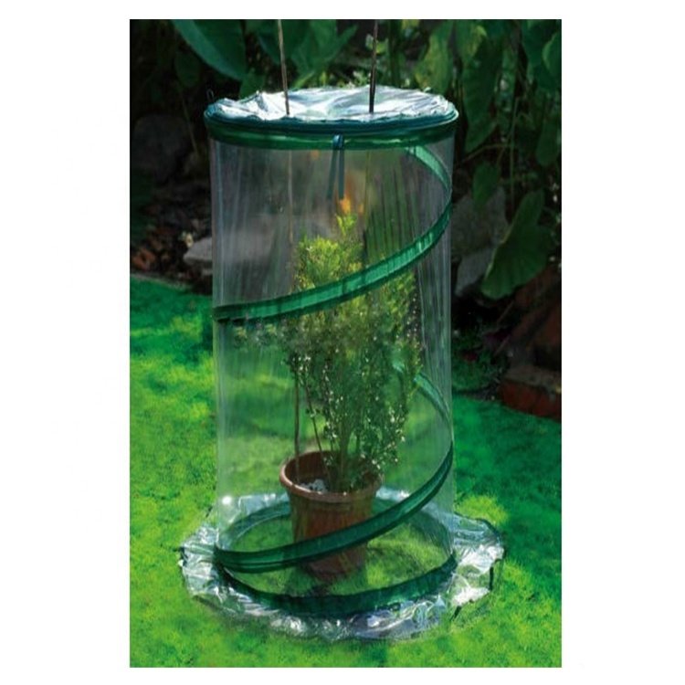 Greenhouse Garden Pop up Mini Greenhouse Agricultural Grow Tent Specialized Round Cheap Plastic Metal Iron Carton Box Not Coated