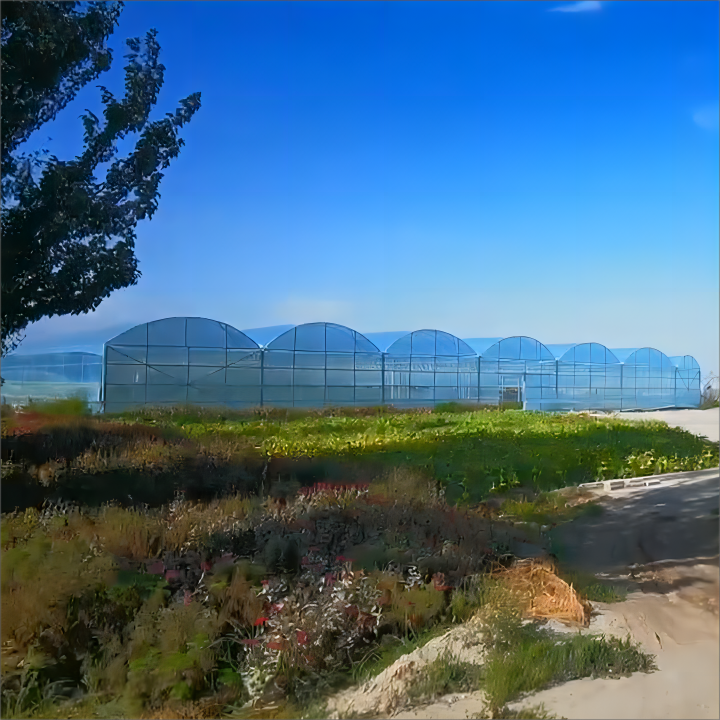 Agriculture Greenhouse Frame Multi span Vegetables Growing Tunnel Multi Span Film Greenhouse