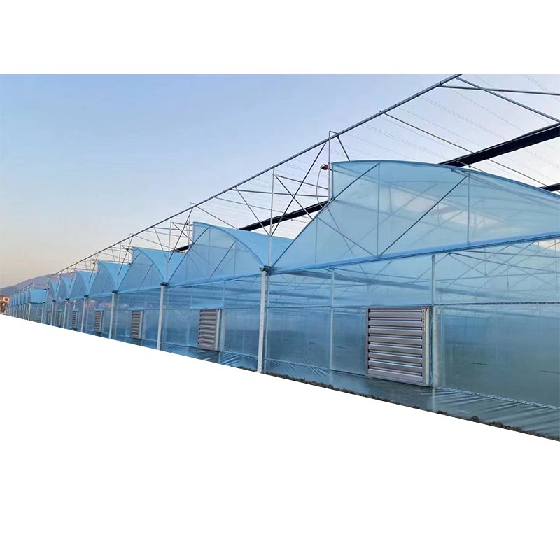 Hydroponic system poly tunnel house serre agricole greenhouse horticulture tropical greenhouse