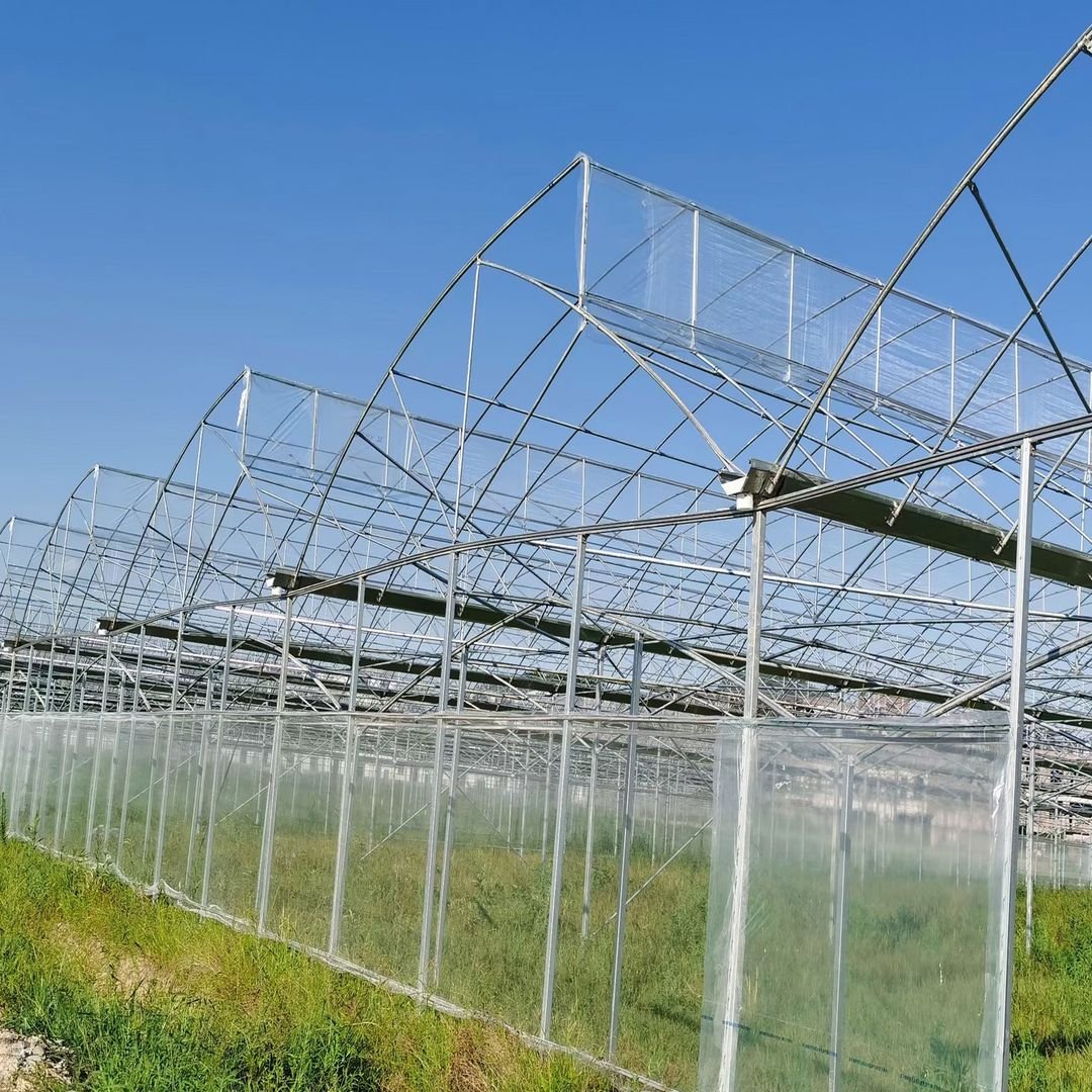 Hydroponic system poly tunnel house serre agricole greenhouse horticulture tropical greenhouse