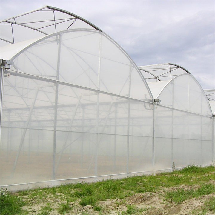 Hydroponic system poly tunnel house serre agricole greenhouse horticulture tropical greenhouse