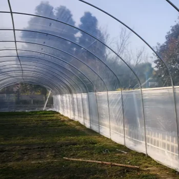 ZEWO Plastic Commercial agricultural greenhouses Tunnel Greenhouse