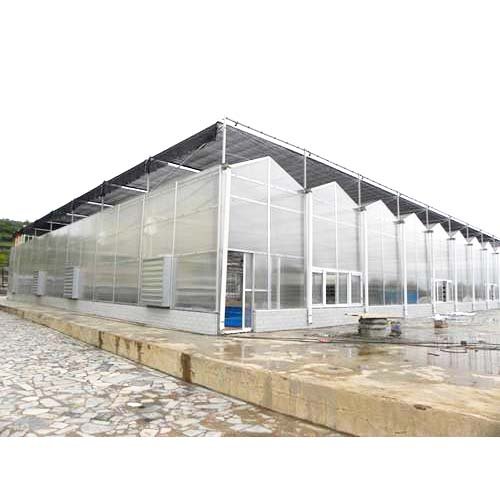 Agriculture Farming Greenhouse with Equipment for Wholesale Multi Span Green House for Vegetable Planting