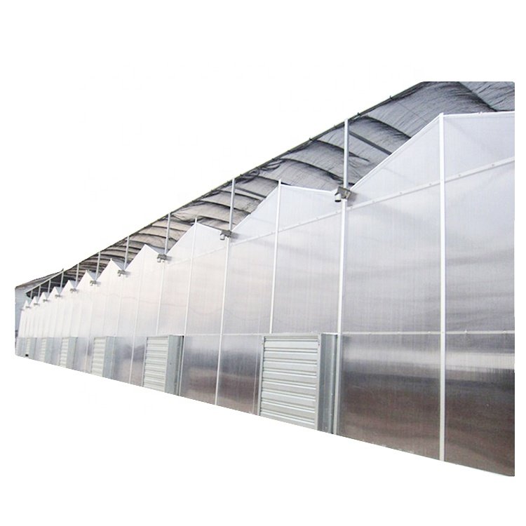 Agriculture Farming Greenhouse with Equipment for Wholesale Multi Span Green House for Vegetable Planting